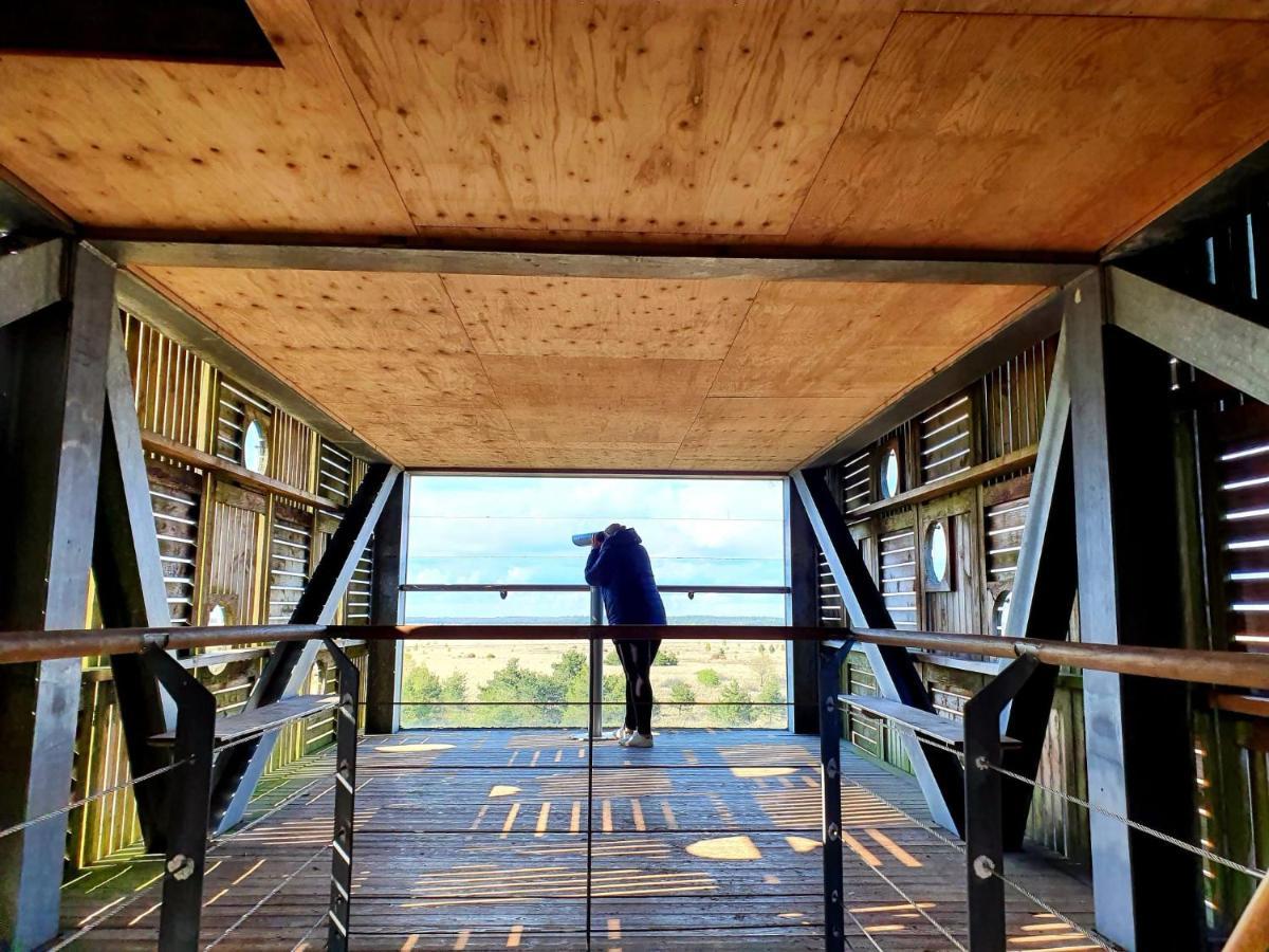 4P Chalet Tolve Met 4 Fietsen Vlakbij Natuurgebieden Drents Friese Wold, Fochteloerveen En Gevangenisdorp Veenhuizen Oosterwolde  Екстер'єр фото