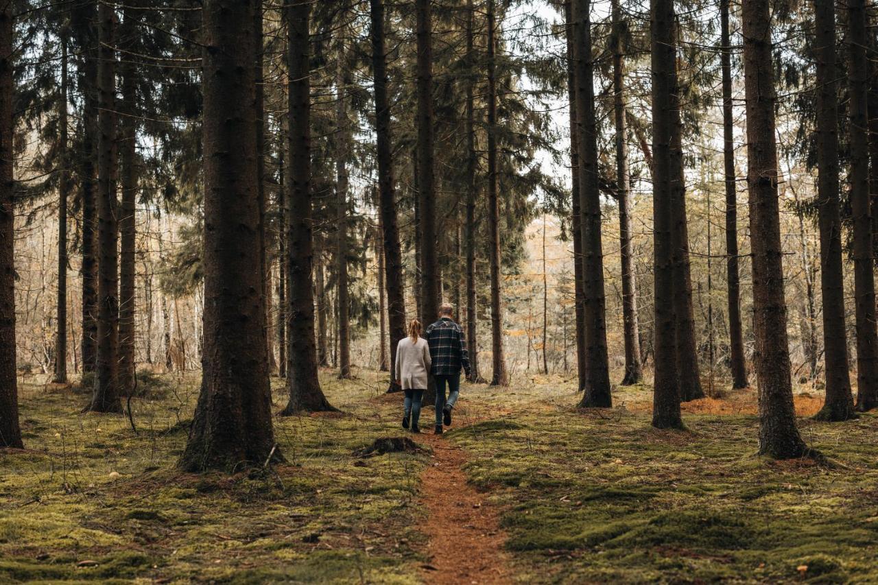 4P Chalet Tolve Met 4 Fietsen Vlakbij Natuurgebieden Drents Friese Wold, Fochteloerveen En Gevangenisdorp Veenhuizen Oosterwolde  Екстер'єр фото