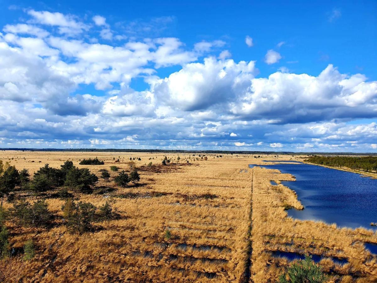4P Chalet Tolve Met 4 Fietsen Vlakbij Natuurgebieden Drents Friese Wold, Fochteloerveen En Gevangenisdorp Veenhuizen Oosterwolde  Екстер'єр фото